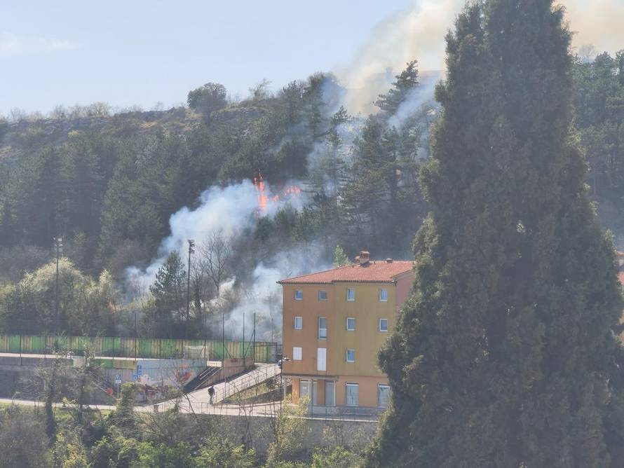 FOTO Gori šuma u Labinu