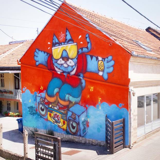 FOTO Grad pretvoren u galeriju: Pogledajte predivne murale na kućama i zgradama u Čačku