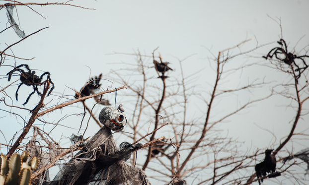 FOTO Od ukletih kuća i demona do magarca u kadi: Najbizarniji zakoni koji i danas prkose logici