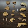 Ameri&ccaron;ki antropolog darovao 16 replika kostiju neandertalaca za budu&cacute;i centar &Scaron;pilja Vindija