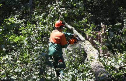 Horor kod Siska: Pilom sjekao stablo, palo na kolegu i ubilo ga, pokušao sve zataškati