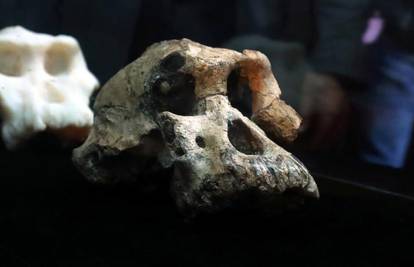 Znanstvenici pronašli lubanju drevnog ljudskog pretka...