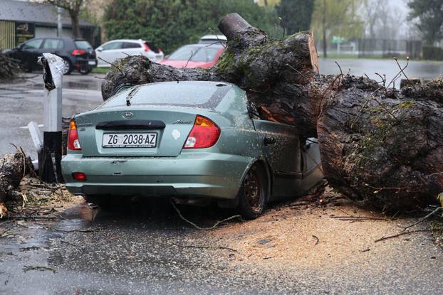 Zagreb: Nevrijeme srušilo stablo koje  je palo na automobil 