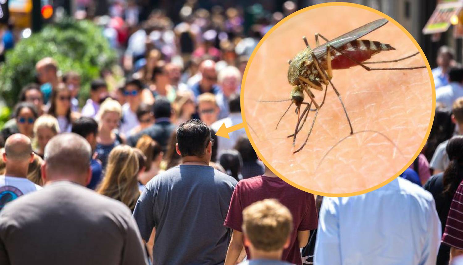 Komarci najviše vole ova 4 tipa ljudi - 'nanjuše' ih u mnoštvu