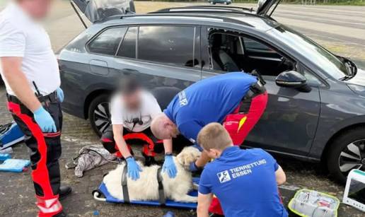 VIDEO DRAMA Psa su ostavili osam sati u pregrijanom autu: Ljudi razbili staklo, spa&scaron;avali ga
