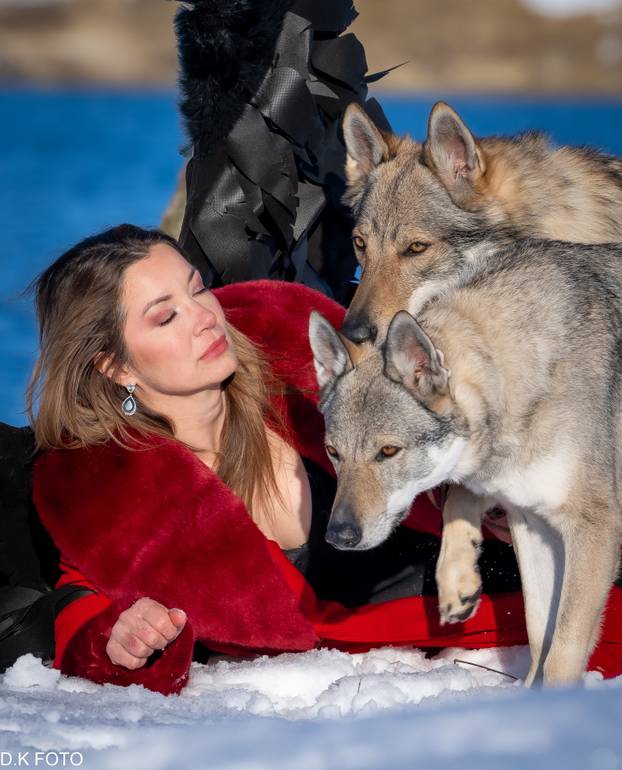 GALERIJA Nastali su od vukova, rođaci su Nazgula s Olimpijskih igara i žive kraj Velike Gorice!