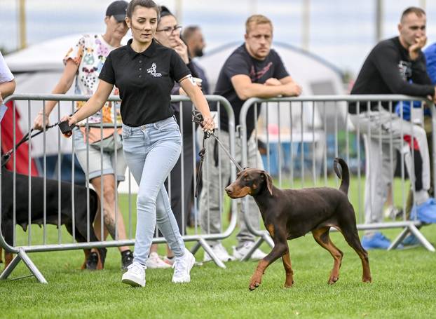 Velika Gorica: IDC Svjetsko prvenstvo pasmine doberman