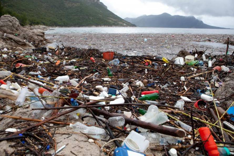 Grgo Jelavić/PIXSELL