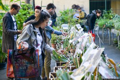 Zagreb: Veliki interes izazvala je godišnja rasprodaja viška biljaka u Botaničkom vrtu