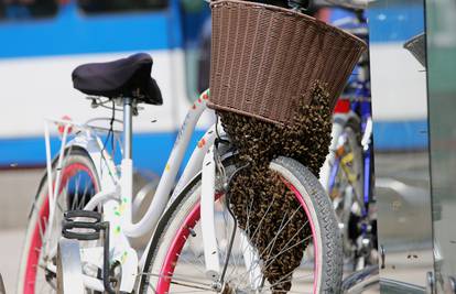 Pa se ti sada vozi: Roj pčela se udobno smjestio na biciklu...