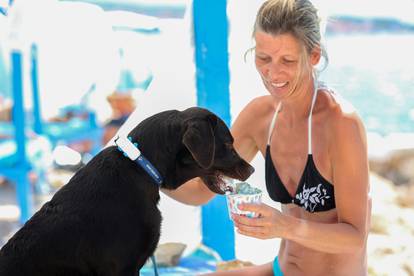 FOTO Preslatki psi se kupaju i uživaju na plaži u Crikvenici