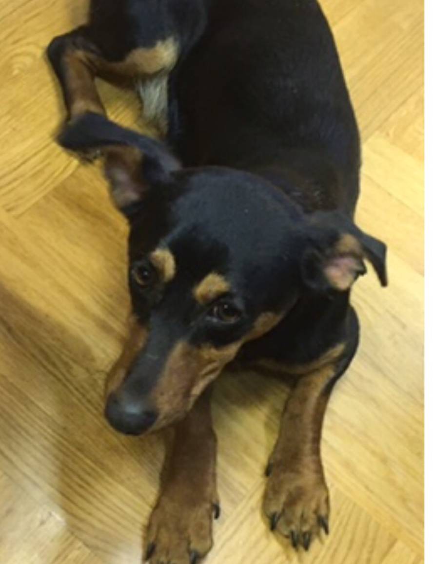 Maxici je škola postala dom, o njoj su brinuli đaci kod Osijeka