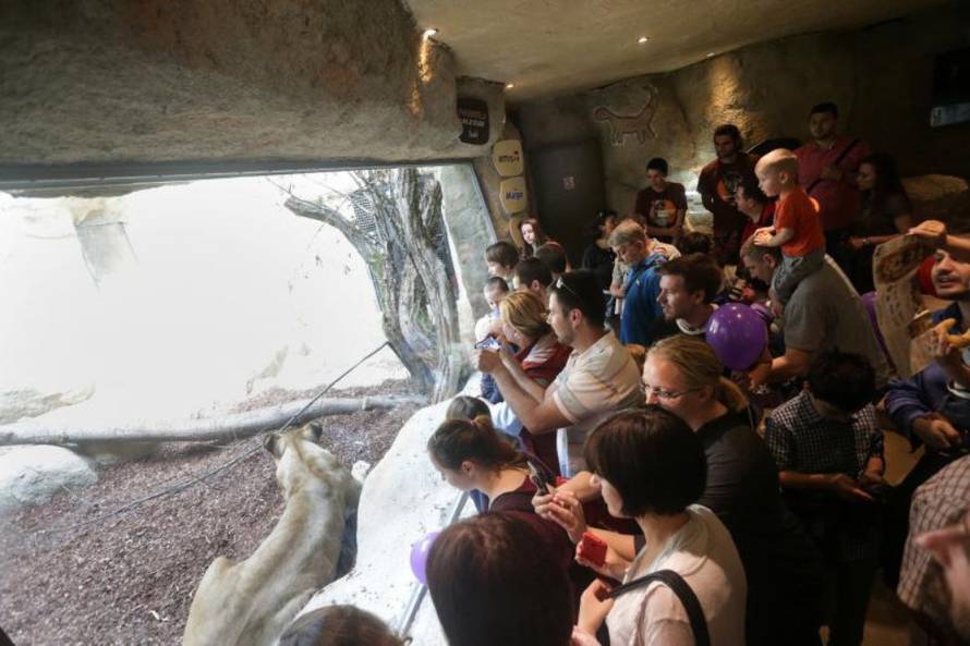 Petar Glebov / PIXSELL