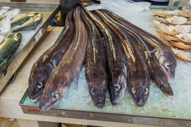 Split: Bogata ponuda ribe petkom u splitskoj ribarnici