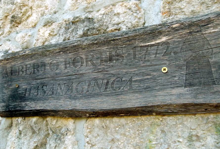 On vozi Titovu limuzinu: 'Kada okrenem uvijek kresne iz prve!'