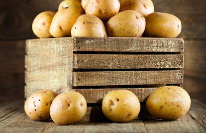 Prije točno 429 godina Europa je prvi put vidjela krumpir 