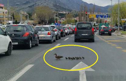 FOTO Konačno našli krivca za prometni krkljanac u Solinu! Ali kvako da se čovjek na njih ljuti?