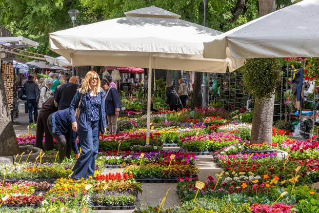 Pula: 17. sajam cvijeća Florija na Giardinima