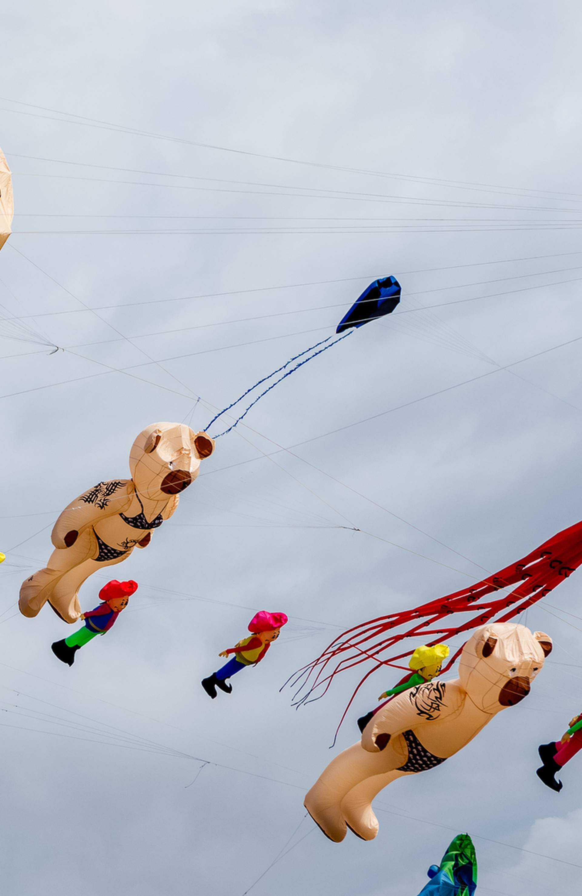 Kite festival in St.Peter Ording