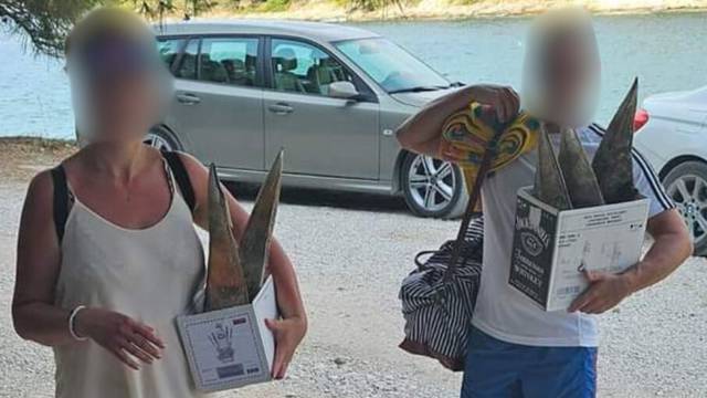 FOTO Šokantan prizor na Braču, pogledajte što turisti nose u kutijama! Sad ih traži i policija