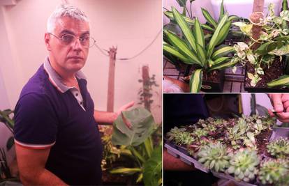 'U Zagrebu smo pokrenuli SPAs projekt za oporavak bolesnih biljaka, tu su i po par mjeseci'