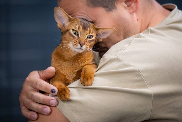 Zagreb: Drugi dan Međunarodne izložbe mačaka