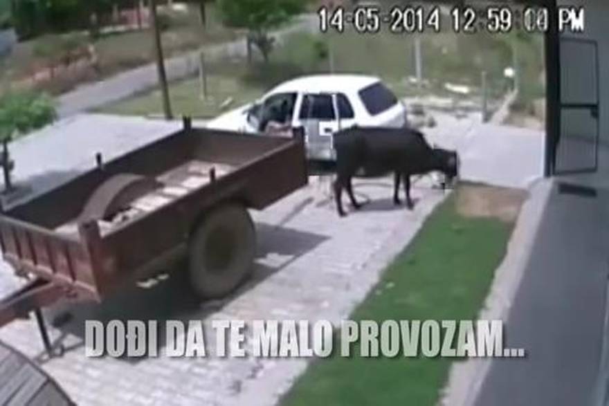 24sataTV
