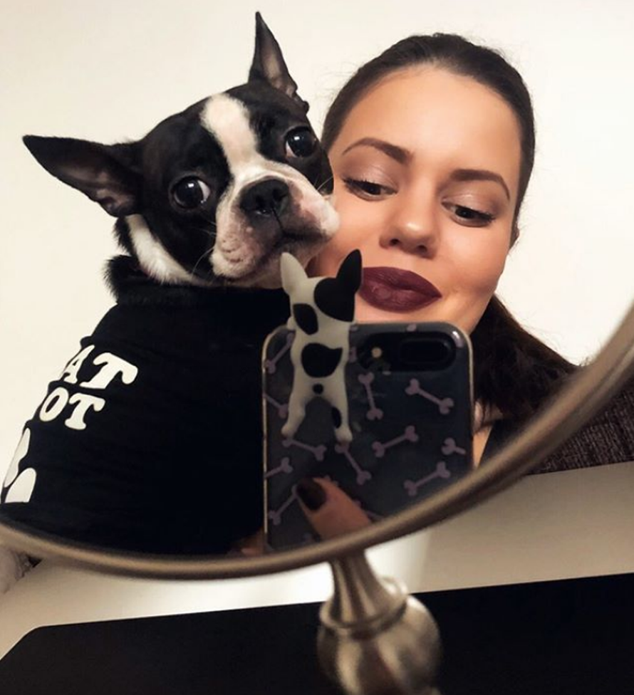 Život na visokoj šapi: Ljubimci im idu na akupunkturu i dadilji