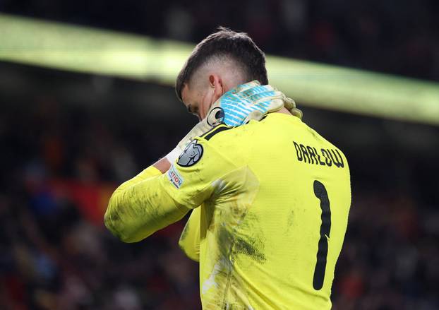 FIFA World Cup - UEFA Qualifiers - Semi Final - Wales v Bosnia and Herzegovina