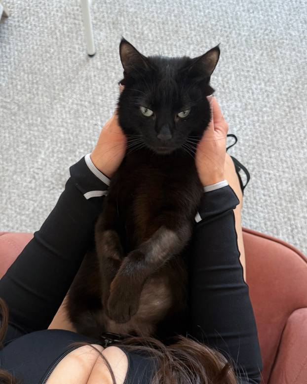 FOTO 'Imam toliko velike grudi da me svi mrze. Nisu umjetne!'