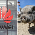 Huawei je razvio 'njuška ID'
