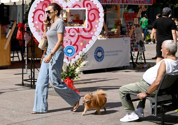 Zagreb: Iva Majoli u društvu svog ljubimca prošetala gradom