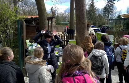 Zekanje u ZG ZOO vrtu: Veseli 'zečji' ponedjeljak u Maksimiru