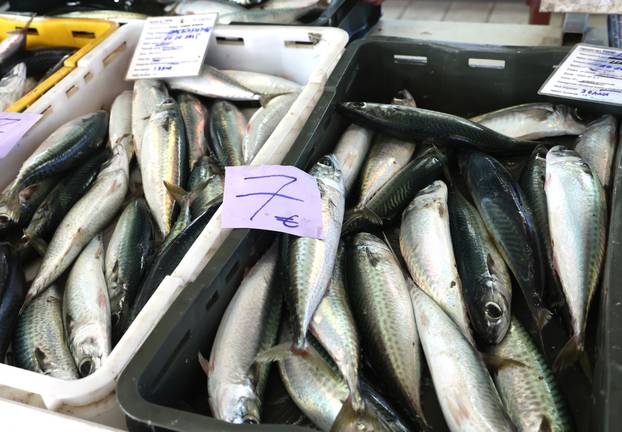 Šibenik: Ponuda ribe na šibenskoj ribarnici