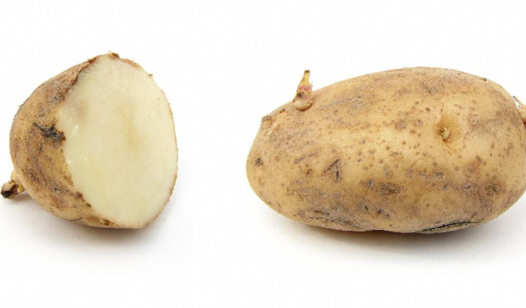 Korisni savjeti: Osim u hrani, krumpir možete koristiti za...