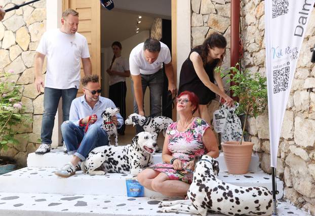 Šibenik:Otvoren muzej dalmatinskom psu,dalmatincu 
