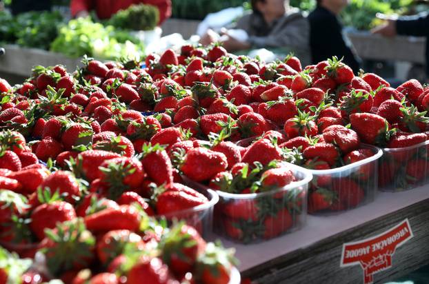 

Šibenik: Na gradskoj tržnici vrgoračke jagode prodaju se po cijeni 7 eura po kilogramu