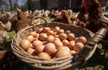 Jeste li u prehranu uključili jaja iz slobodnog uzgoja?