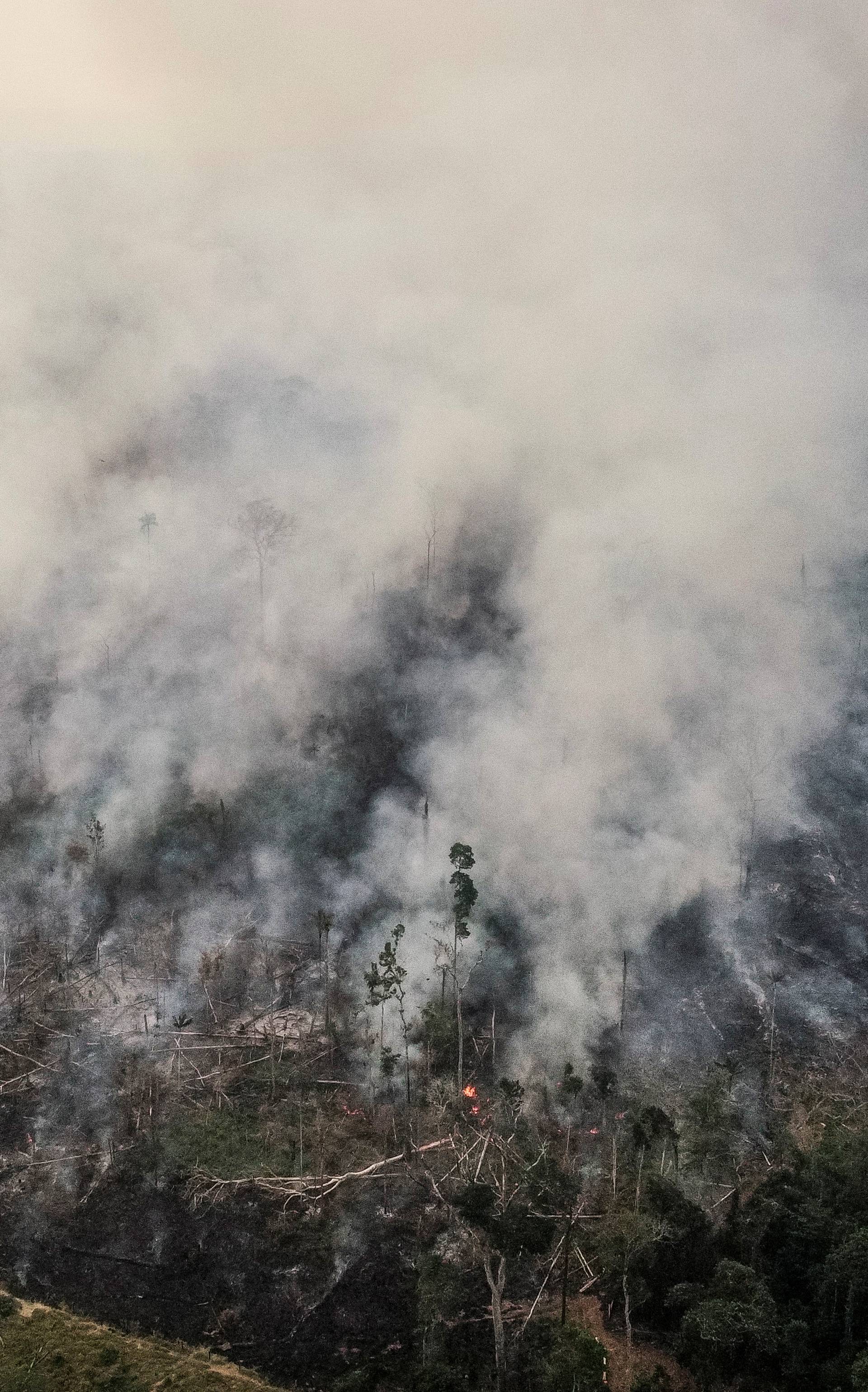 Gori Amazonija: Katastrofa za ugled Brazila u cijelome svijetu