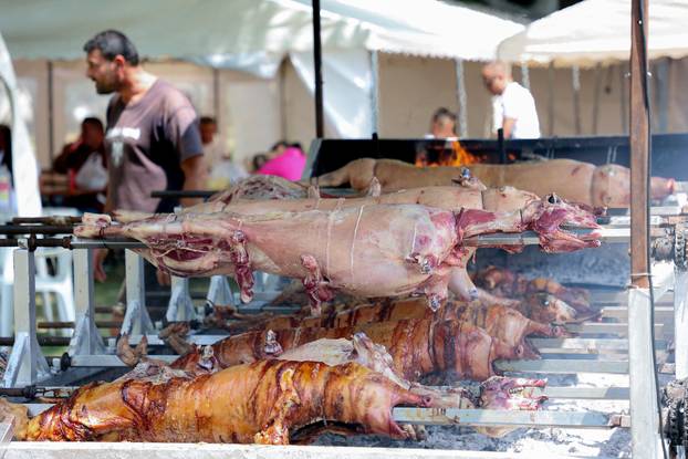 Sinj: Okupljanje ljudi u Sinju uoči 310. Sinjske alke