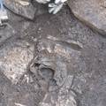 Život prije Rima: U Puli našli pet grobova iz željeznog doba