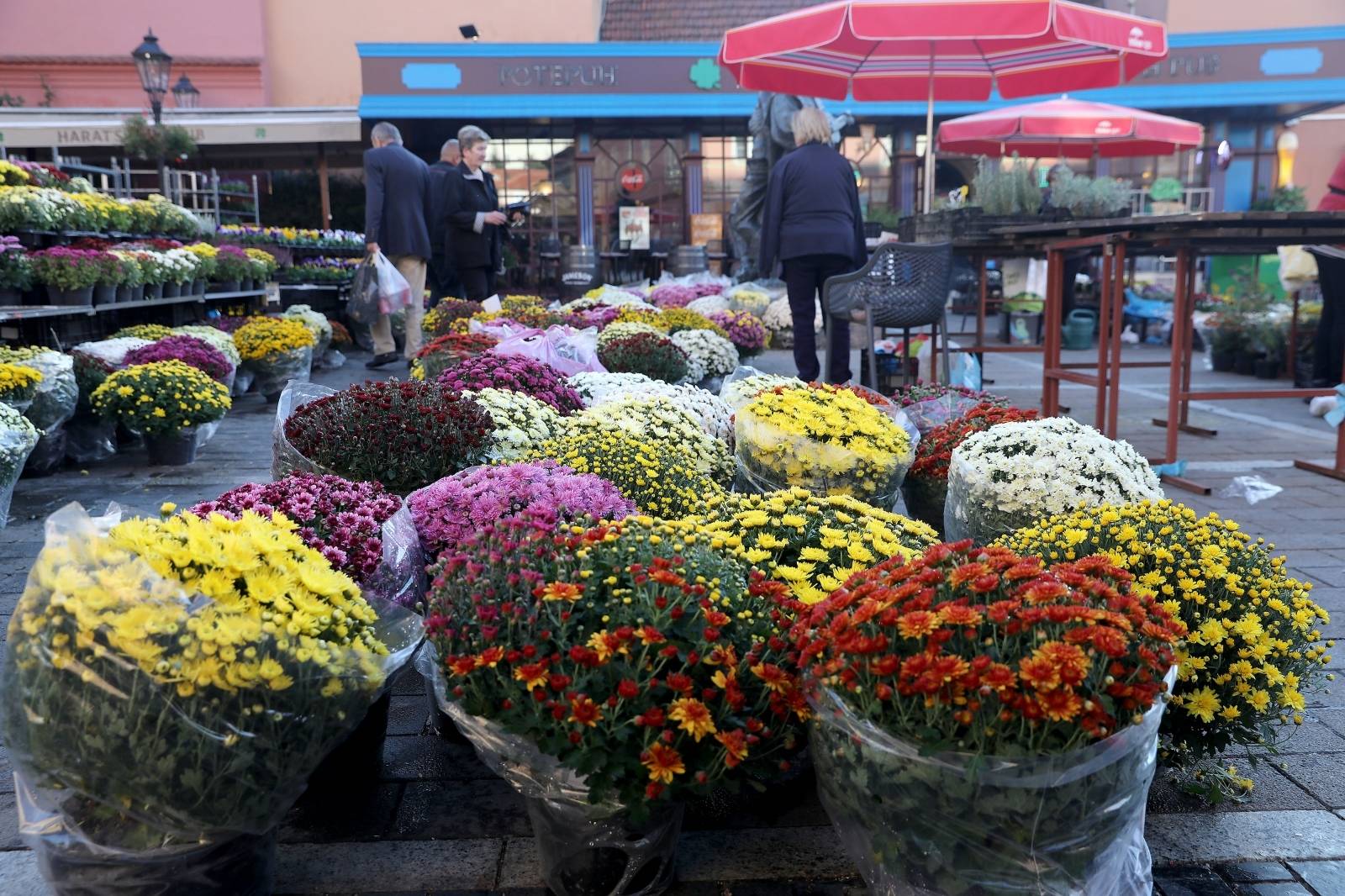 Zagreb: Bogata ponuda raznog cvijeÄa na Opatovini uoÄi blagdana Svih svetih