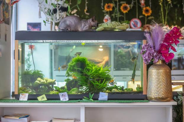 Zagreb: Emilija i Amer Alaydi otvorili su kafić Animal caffe