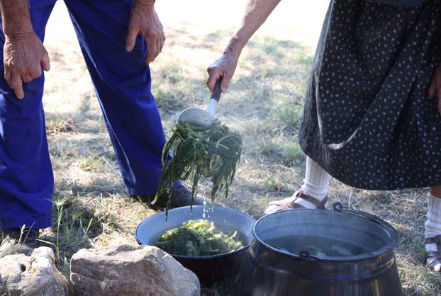 Vodice:Tradicionalni prvosvibanjski piknik u Rakitnici,spremanje divljeg zelja i pulente.
