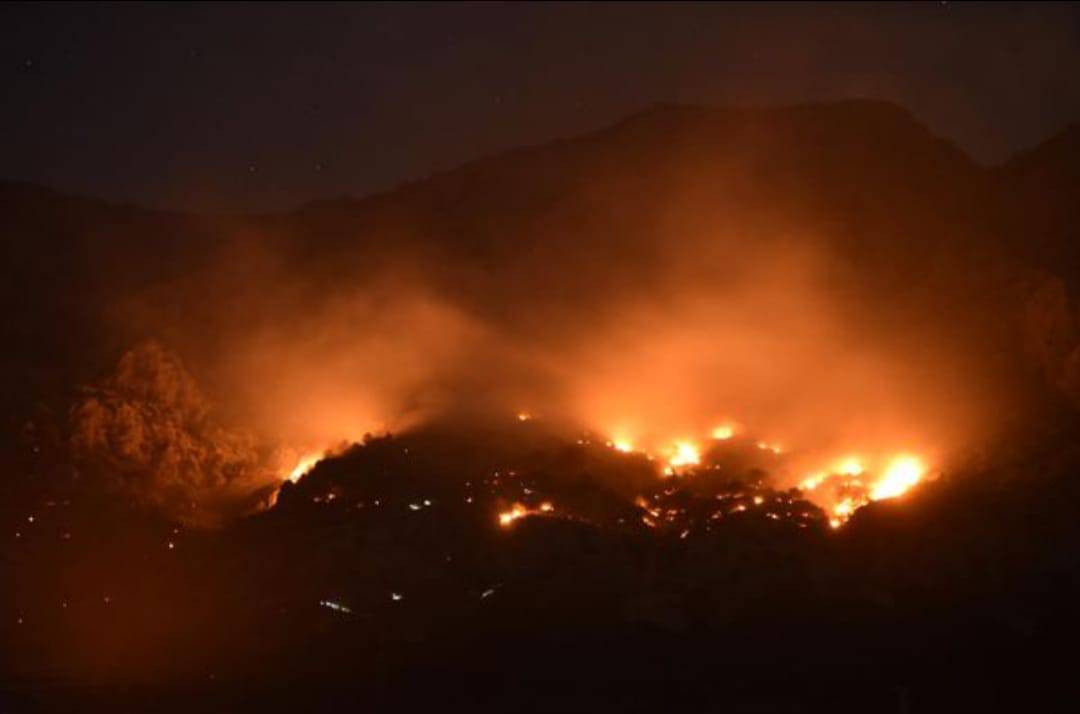 Požari na makarskom području još su aktivni: Bura sve otežava