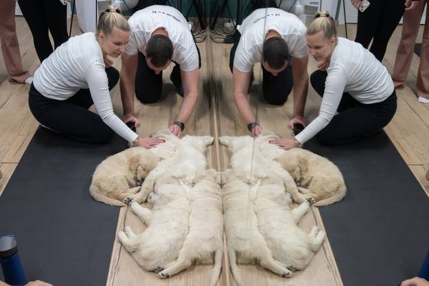 24SATA Paw Yoga, inovativni koncept joge koji je stigao u Hrvatsku