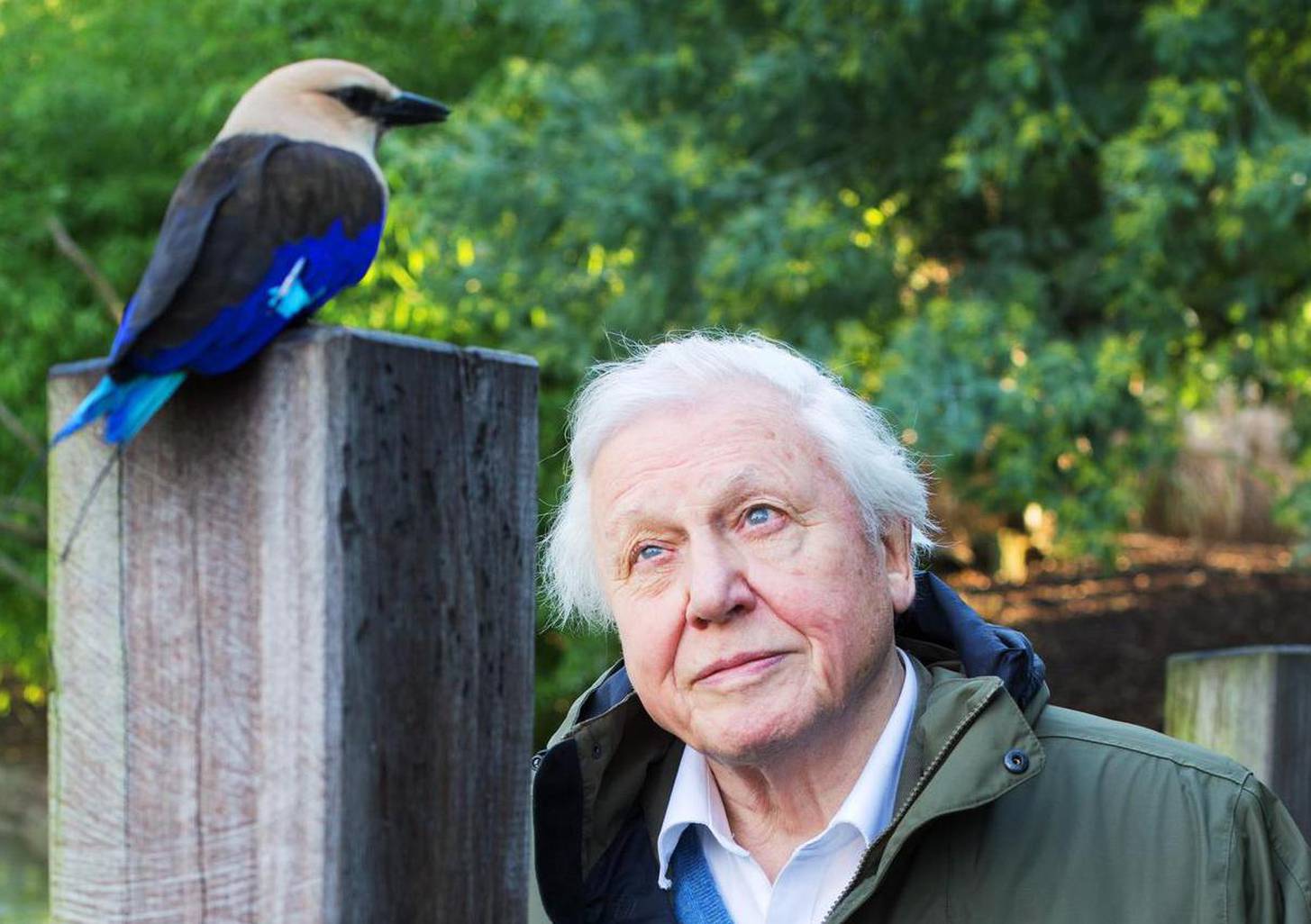 Sir David Attenborough at London Zoo.