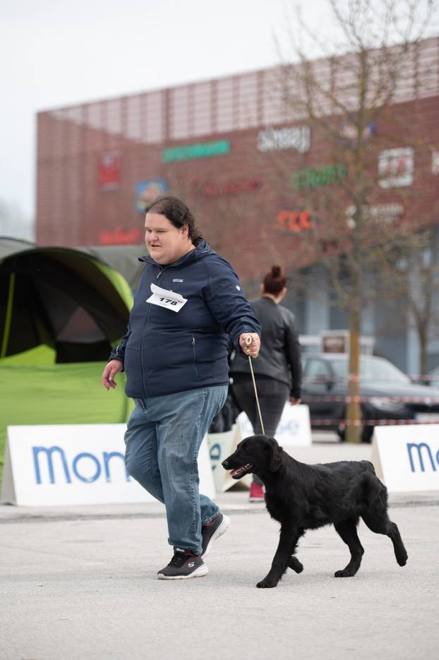 U Zaprešiću održana CAC nacionalna izložba pasa