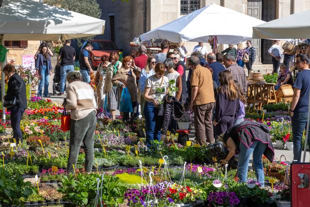 Svetivinčenat: Fešta od Rožic