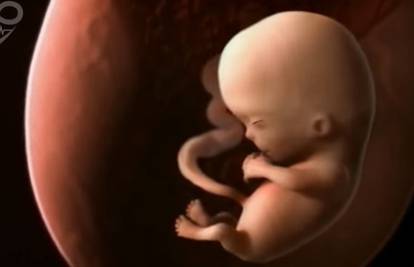 Čudo života: Devet mjeseci trudnoće u samo četiri minute